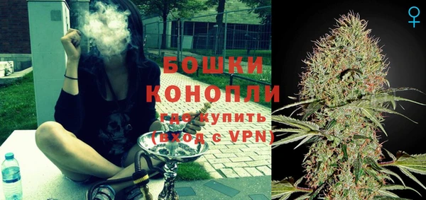 молекула духа Кулебаки