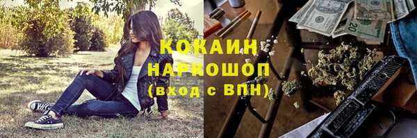 молекула духа Кулебаки
