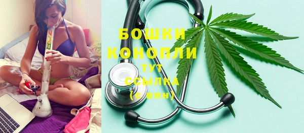 гидра Кукмор