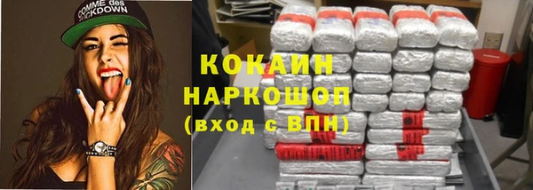 молекула духа Кулебаки