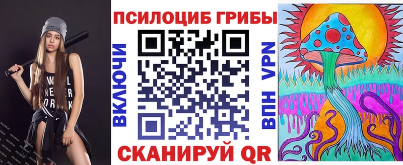 Купить где Себеж Галлюциногенные грибы мицелий